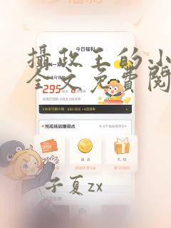 摄政王的小娇妃全文免费阅读