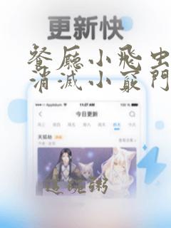 餐厅小飞虫怎么消灭小窍门