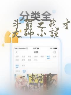 斗罗之我才是真大师小说