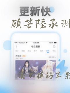 顾芒陆承洲全文