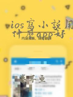 ios写小说用什么app好