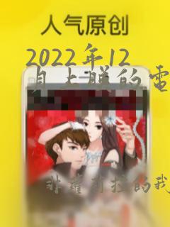 2022年12月上映的电影