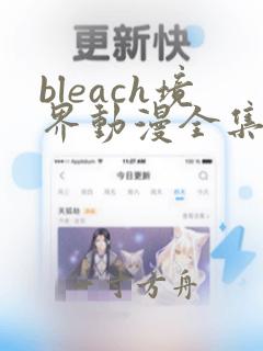 bleach境界动漫全集免费观看,一共多少集