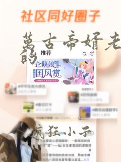 万古帝婿老鬼写的