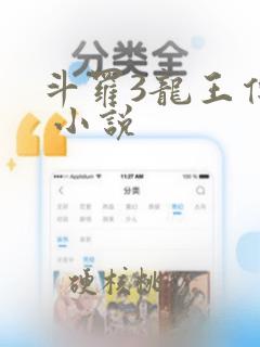 斗罗3龙王传说 小说