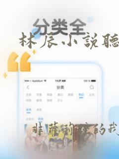 林辰小说听书