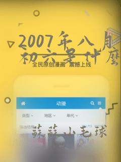 2007年八月初六是什么命