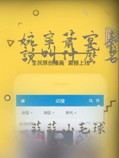 婉宁萧宴秦王小说叫什么名字