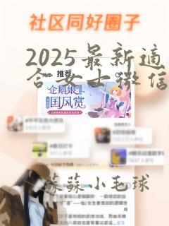 2025最新适合女士微信名