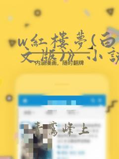 w红楼梦(白话文版)》小说