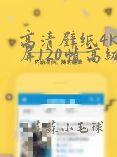 高清壁纸4k全屏120帧高级