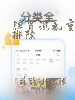 脾胃湿气重怎么排除