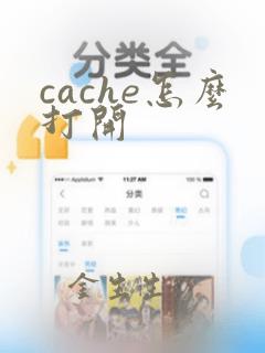 cache怎么打开