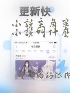 小说主角宁宸的小说叫什么