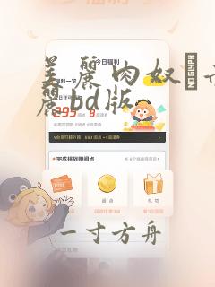 美丽肉奴隷赤坂丽bd版