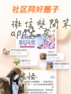 微信双开苹果版app大灰