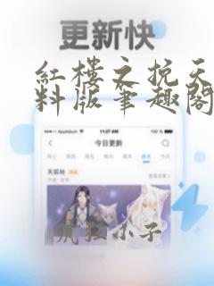 红楼之挽天倾加料版笔趣阁