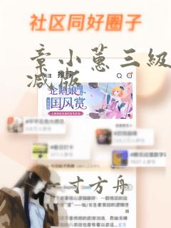 章小蕙三级未删减版