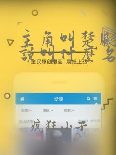 主角叫楚风的小说叫什么名字