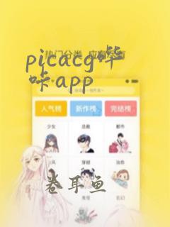 picacg哔咔app