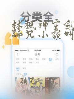 林枫神霄剑宗大师兄小说叫什么