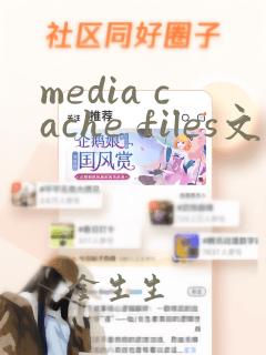 media cache files文件夹可以删除吗