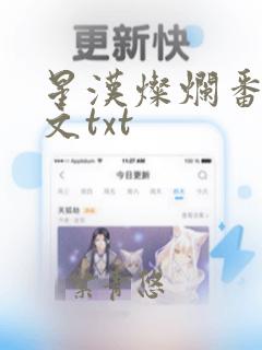 星汉灿烂番外全文txt