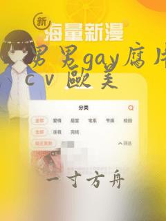 男男gay腐片cⅴ欧美