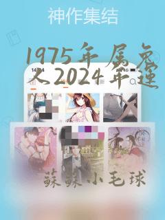 1975年属兔人2024年运气