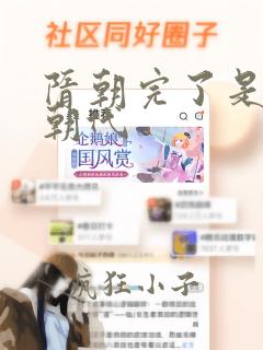 隋朝完了是什么朝代