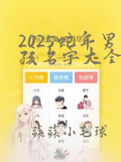 2025蛇年男孩名字大全 取名