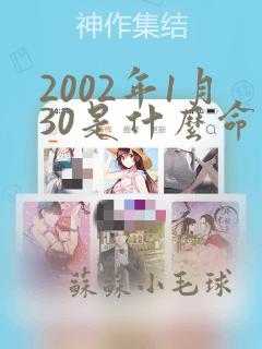 2002年1月30是什么命