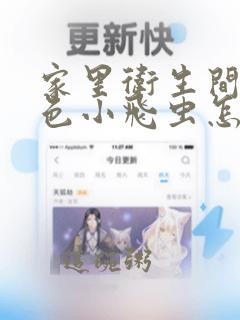 家里卫生间有黑色小飞虫怎么消灭