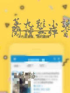 华九难小说在线阅读无弹窗