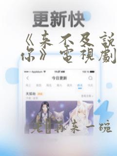 《来不及说我爱你》电视剧36集全