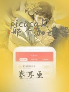 picacg用哪个加速器