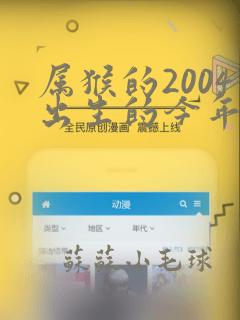 属猴的2004出生的今年运气