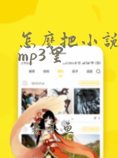 怎么把小说导入mp3里