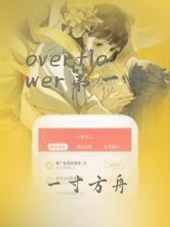 overflower第一季翻译动漫