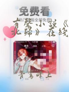 有声小说《南渡北归》在线收听