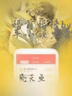 婚前婚后by任平小说免费