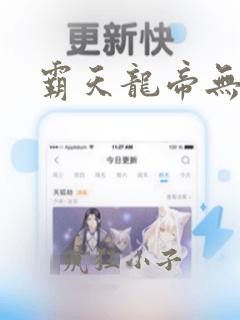 霸天龙帝无弹窗