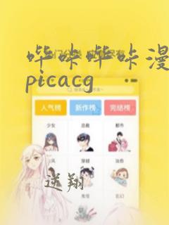 哔咔哔咔漫画 picacg