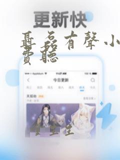 聂磊有声小说免费听