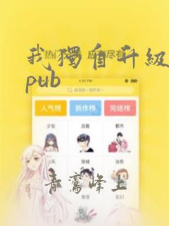 我独自升级 epub