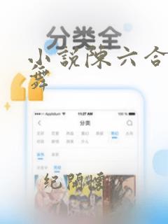 小说陈六合沈轻舞