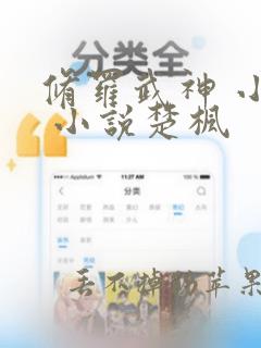 修罗武神 小说 小说楚枫