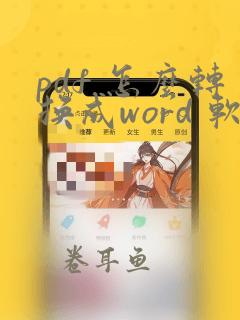 pdf 怎么转换成word 软件