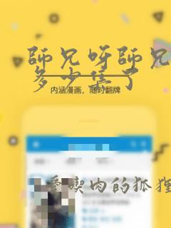 师兄呀师兄更新多少集了