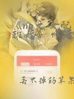 《np文女配想离婚》作者:白白白欧